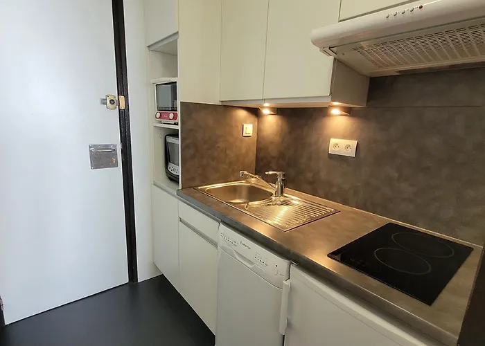 شقة Confortable Au Pied Des Pistes, 3/4 Pers. - Fr-1-181-2597 *